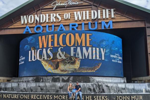 Wonders of Wildlife Museum Springfield